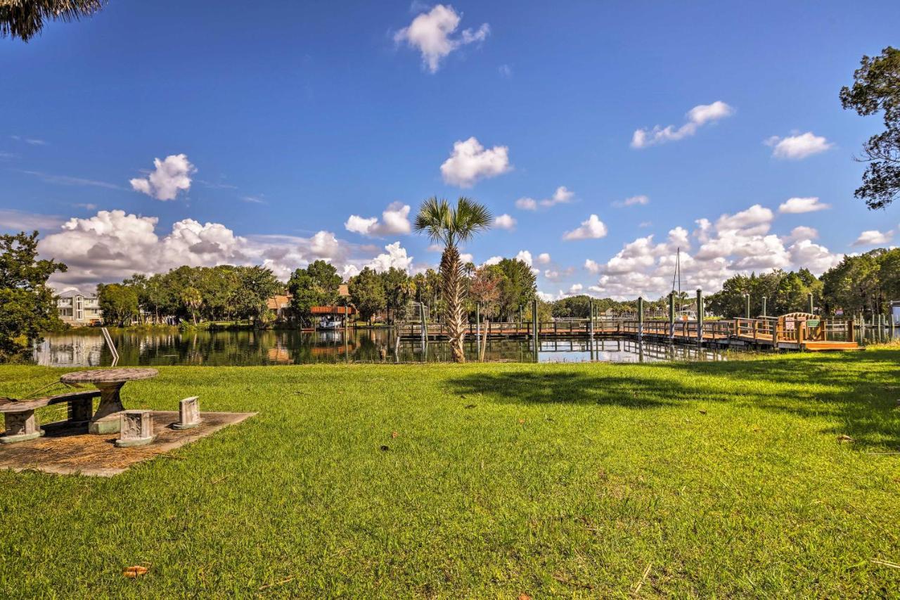 Crystal River House Scalloping And Dock, Gulf 7 Mi! Εξωτερικό φωτογραφία